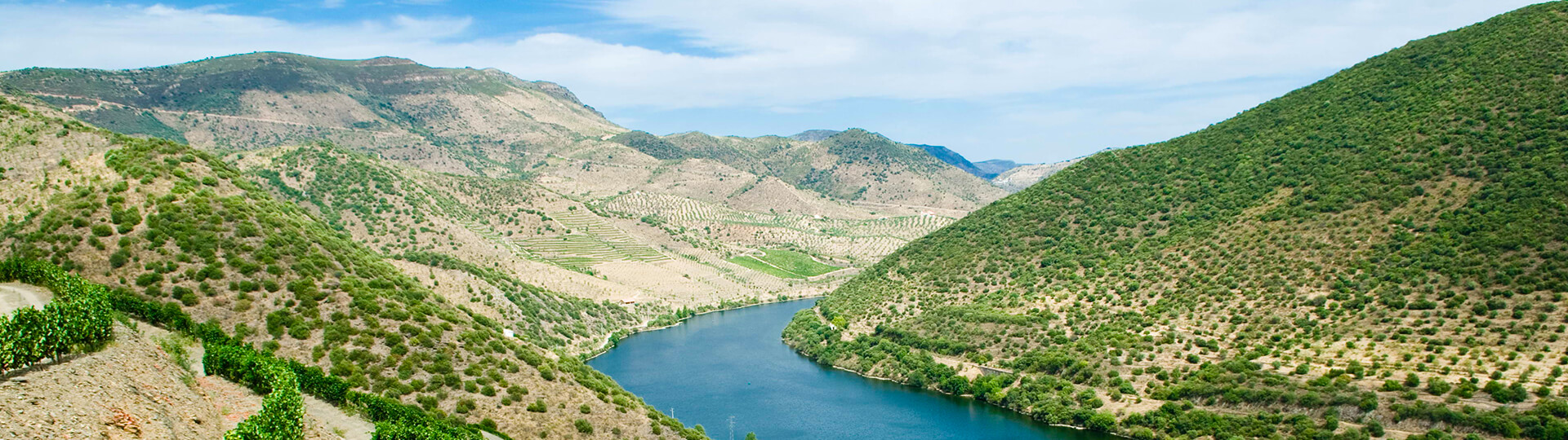 Vallée du Douro